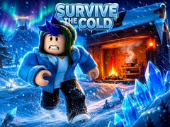 Spiel Survive the Cold
