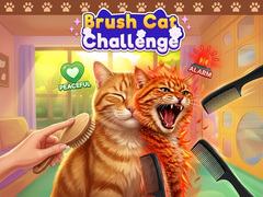 Spiel Brush Cat Challenge 