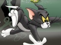 Spiel Tom And Jerry Chase In Marsh