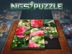 Spiel NGS Puzzle