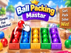 Spiel Packing Master Puzzle