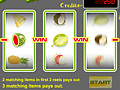 Spiel Tropical Fruit