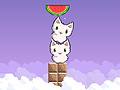 Spiel Cat cat watermelon