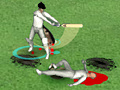 Spiel Just Not Cricket