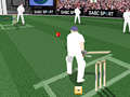 Spiel Criket Challenge