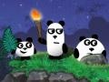 Spiel 3 Pandas 2 Night
