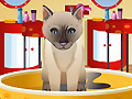 Spiel Petz Fashion