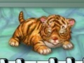 Spiel My tiger