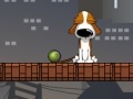 Spiel Smart Dog