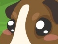 Spiel Guinea pig care