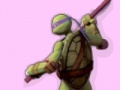 Spiel Ninja Turtles Colours Memory