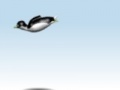 Spiel Est Pingu