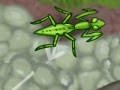 Spiel Smart Mantis