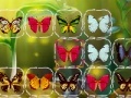 Spiel Butterfly Connect