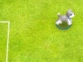 Spiel Pet soccer