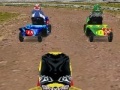 Spiel Lawnmower Racing 3D