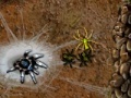 Spiel Arachnid Wars