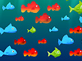 Spiel Feed the Fish