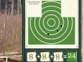 Spiel Sharpshooter. The pistol.