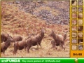 Spiel Hidden Spots Animals