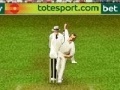 Spiel Cricket 3d