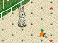 Spiel Animal 4 Steps