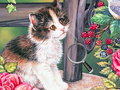 Spiel Hidden Numbers Cat