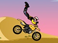 Spiel Acrobatic Rider
