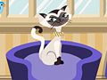 Spiel Cat Breeder