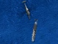 Spiel S-70B-2 SeaHawk