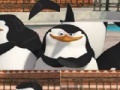 Spiel Penguin: Photo Puzzle