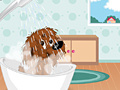 Spiel Puppy Perfect Makeover