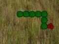 Spiel Snake