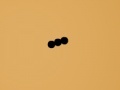 Spiel Snake