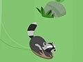 Spiel Feral Slalom