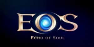 Echo der Seele 